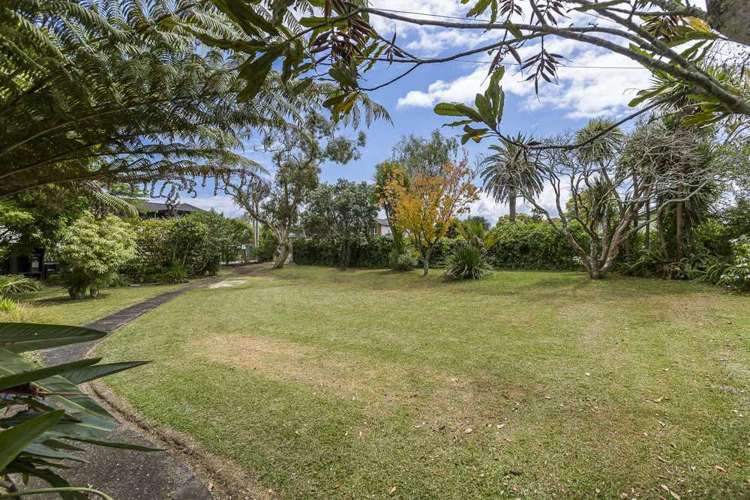 37 New Windsor Road Avondale_14