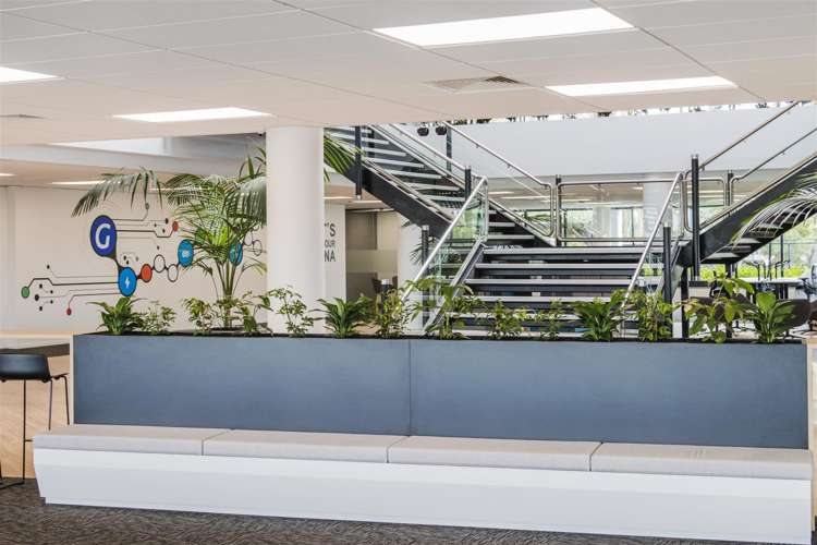 17 Hargreaves Street Freemans Bay_27