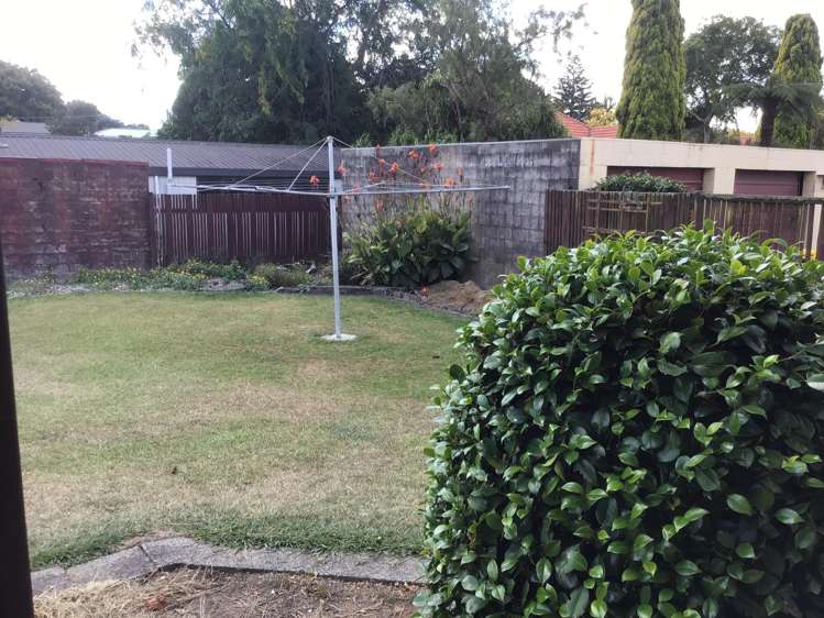 1/25 North Street Morrinsville_8