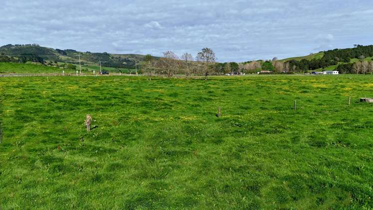 Matakana Valley Road_1