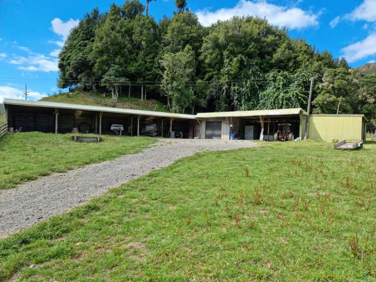 3779 Whanganui River Road (State Highway 43) Ruapehu-King Country Surrounds_19