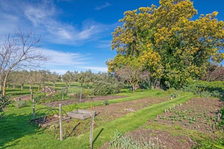 33 Neal Road Rarangi_20