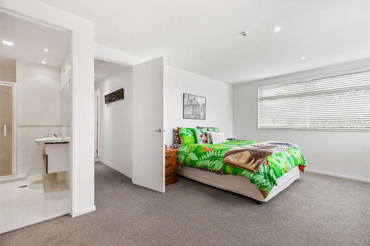 11a Birdwood Crescent Parnell_9