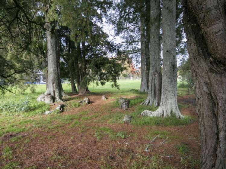 605 Pencarrow Road Tamahere_19