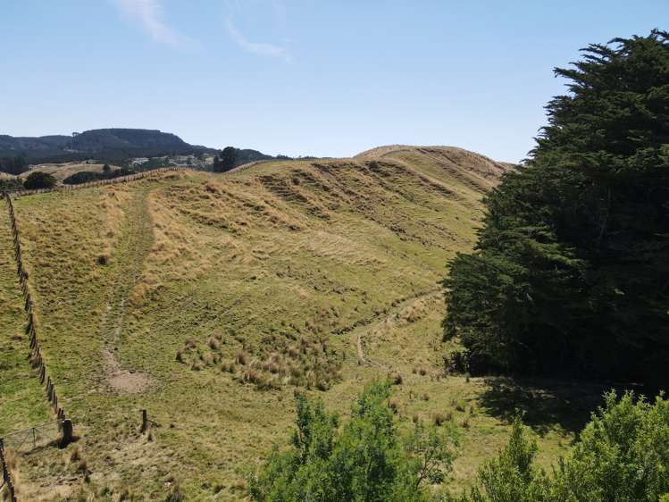 Esdaile Road Dannevirke_15