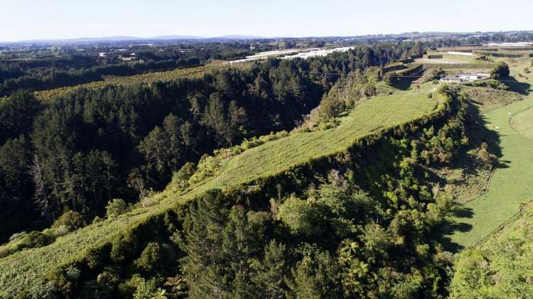 99 Homewood Drive Te Puke_27