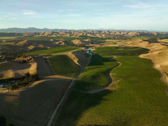 217 Caseys Road Seddon_3