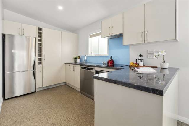 11 & 13 Calgarry Avenue Thorndon_4