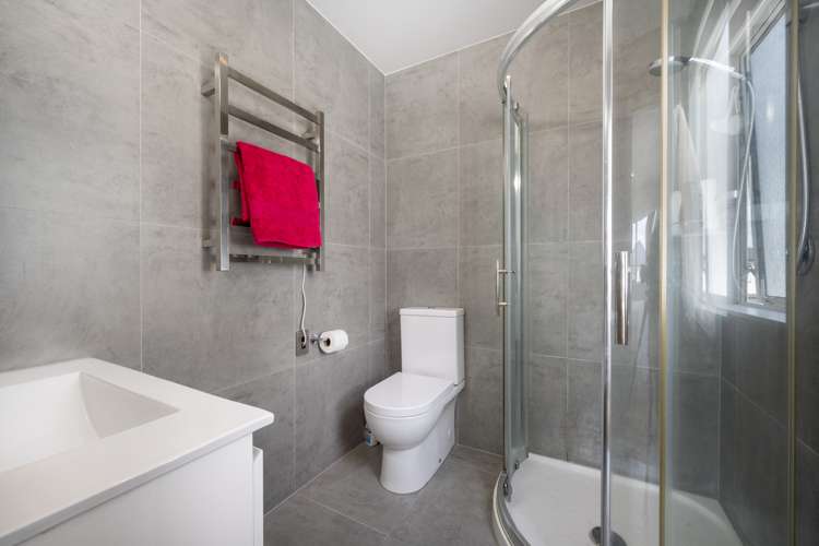 12 Calcite Avenue Flat Bush_16