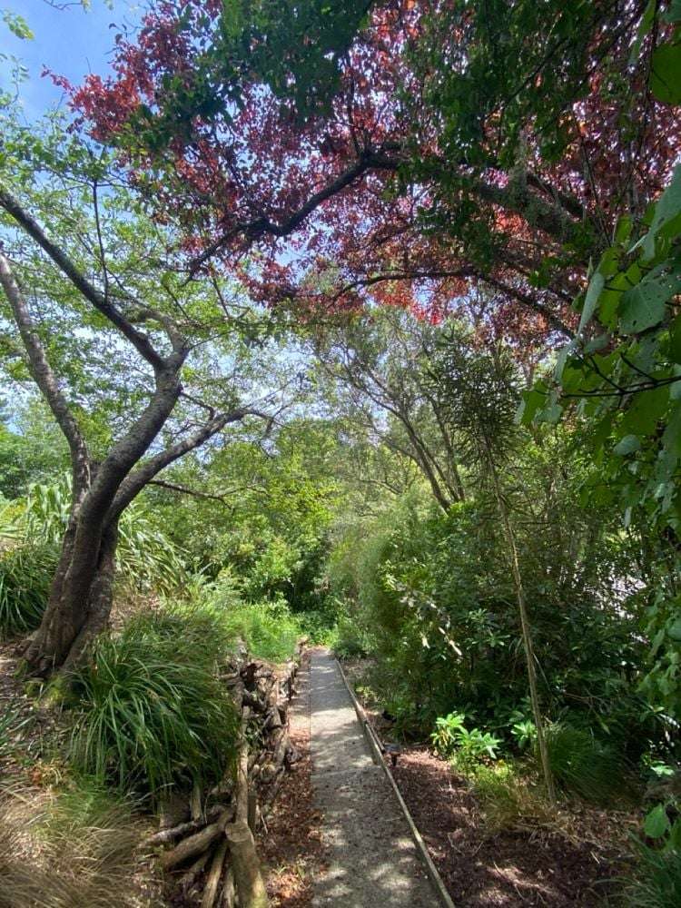 64 Newlands Road Newlands_12