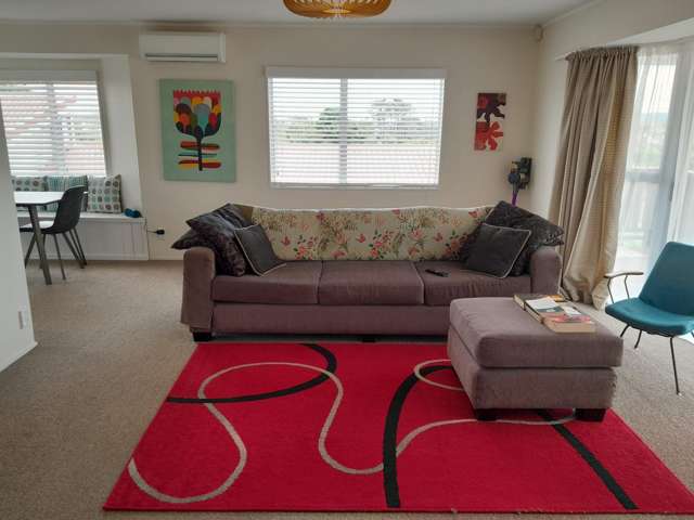 2 Robson Street Mount Roskill_3