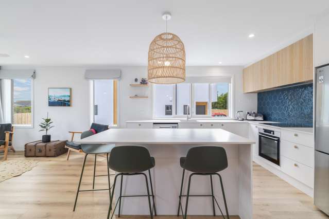 14 Mountfort Street Spreydon_4