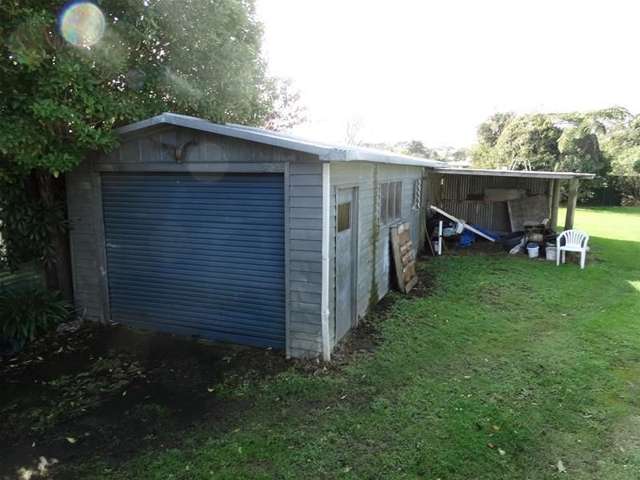 44 Gloag Street Waverley_3