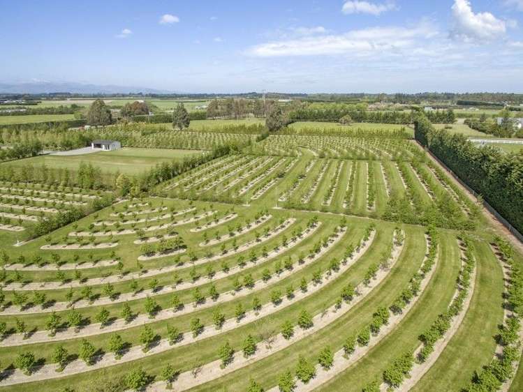 293 Lawford Road West Melton_12