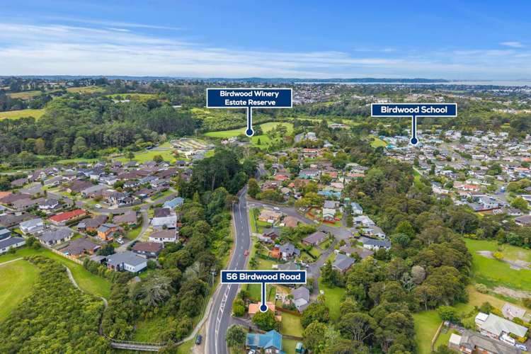 56 Birdwood Road Swanson_16