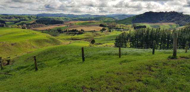 650 Bayley Road Te Awamutu_3