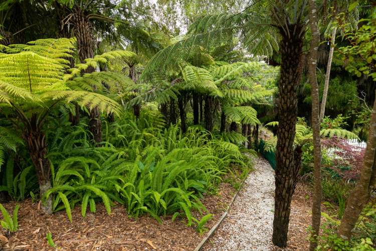 91 Braemar Road Castor Bay_32