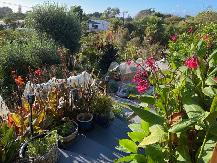28 Nikau Heights Kahurangi National Park_24
