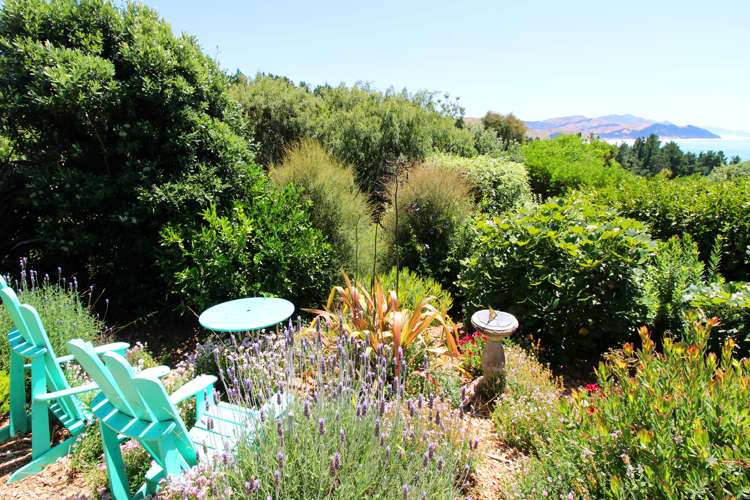 56 Guthrie Crescent Castlepoint_14