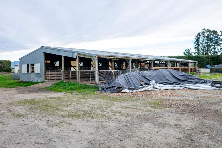 1444 Maronan Valetta Road Westerfield_23