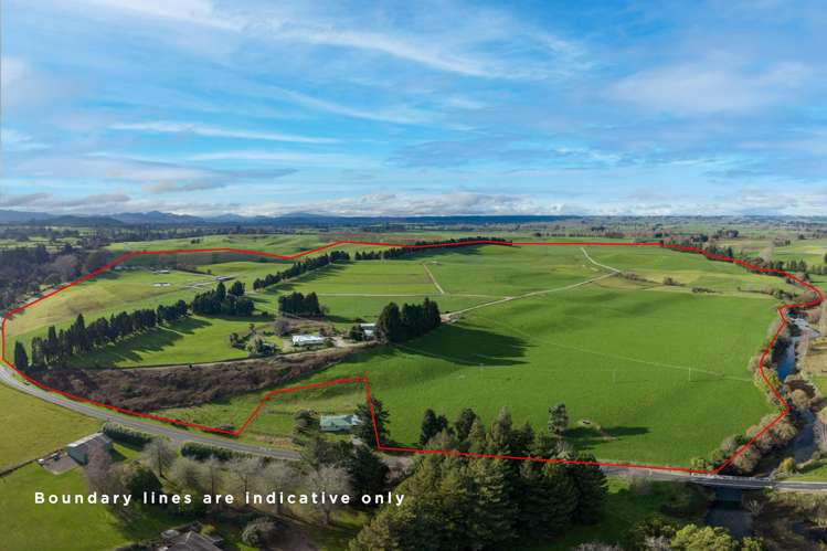 365 Halcrow Road Reporoa_38