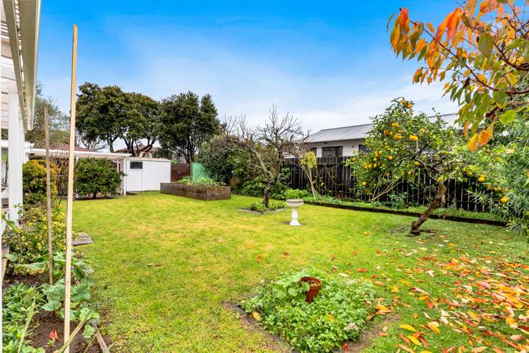 3 James Walter Place Mount Wellington_13