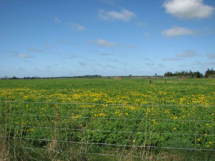 2212 Ashburton Staveley Road Ashburton Forks_7