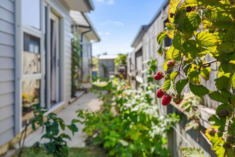 7 Toetoe Street Papamoa_15