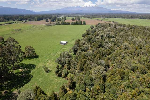 A Prime Bush Block Opportunity in Ruapehu