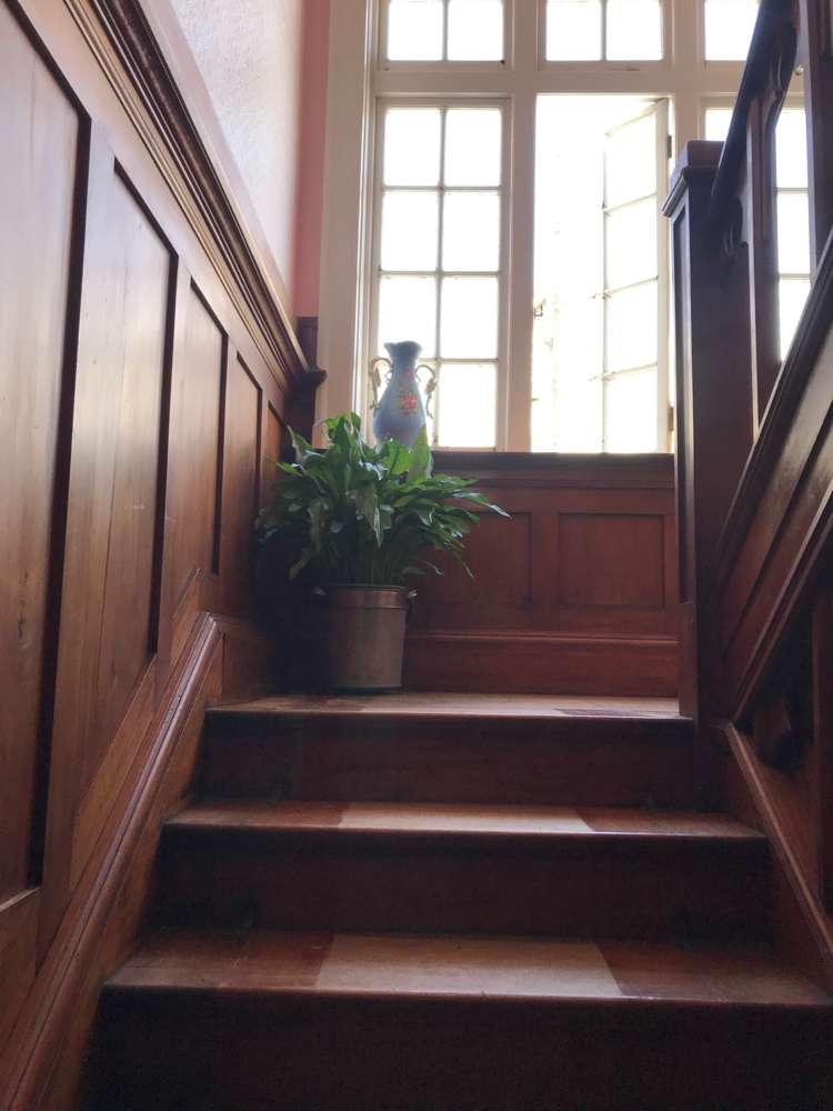 105 Brougham Street Mount Victoria_10