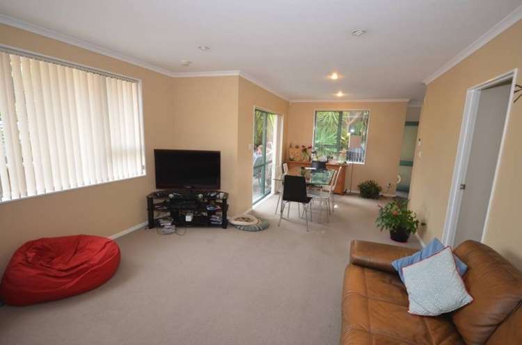 58b Eighteenth Avenue Tauranga South_3