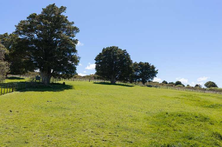 223 Puhipuhi Road Whakapara_12