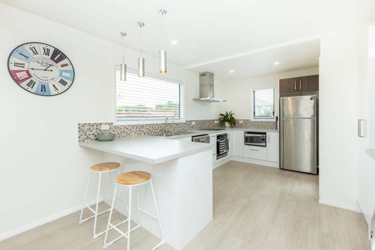 9 Bristol Street Tamatea_9