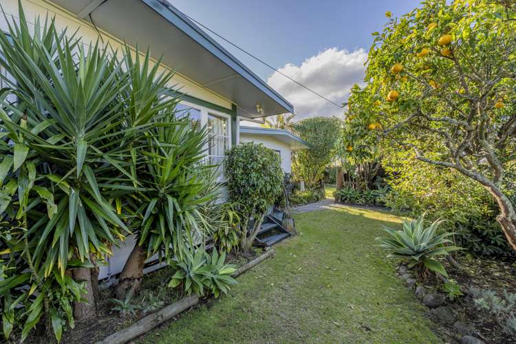 11 Dundas Street Whitianga_25