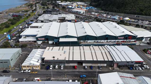 11 Armidale Street Petone_2