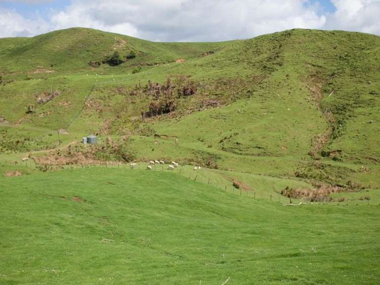 450 Ngapaenga Road Pomarangai_11