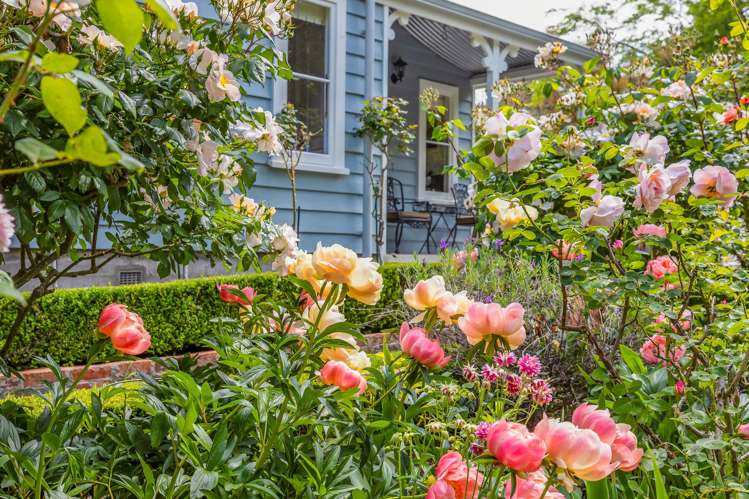 211 Summerhill Road Cust_30