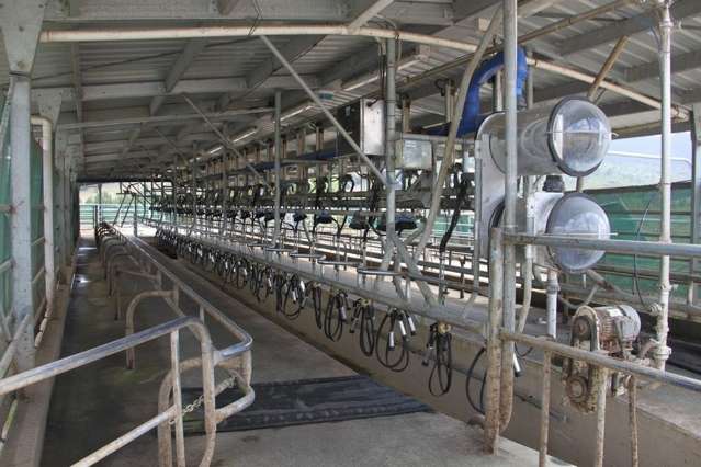 Maratoto Road Hauraki_1