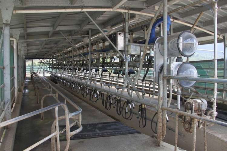 Maratoto Road Hauraki_1