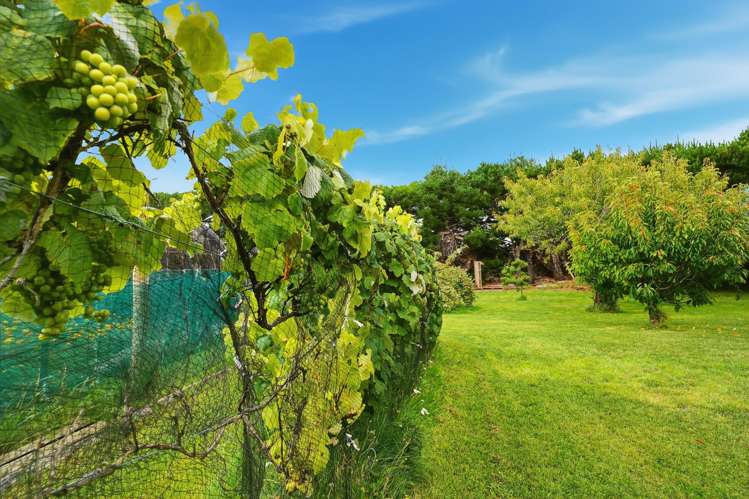 284 Racecourse Road Amberley_22