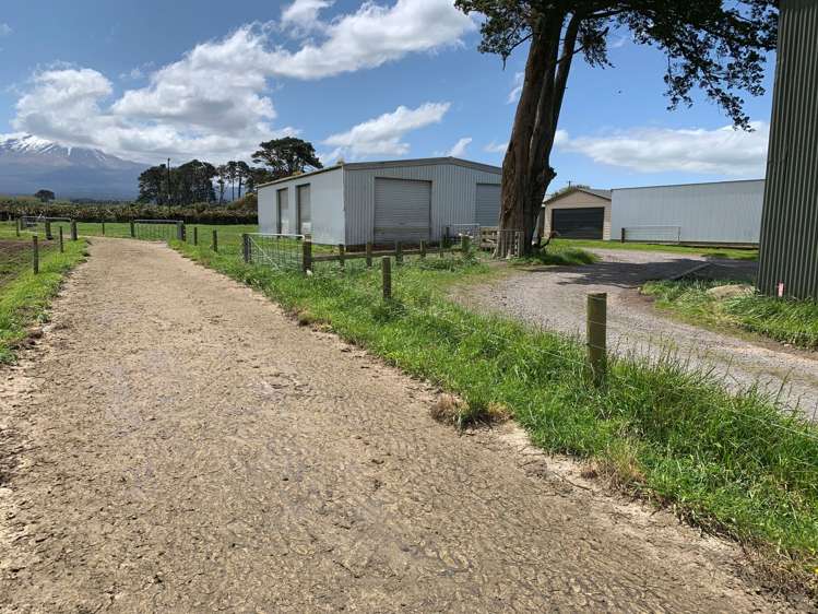 1703 Eltham Road Riverlea_11