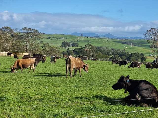 Lot 1-3 Millbrook Road Waipu_1