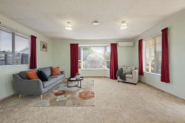 62 Litchfield Street Blenheim_2