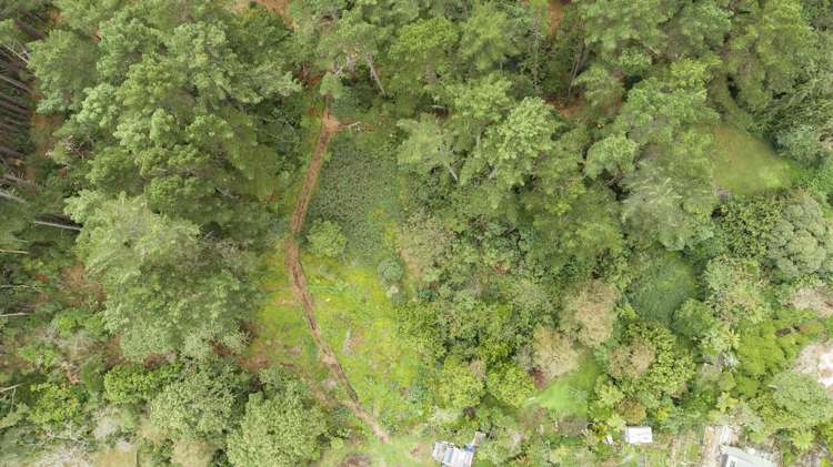 63-69 Leinster Avenue Raumati South_6