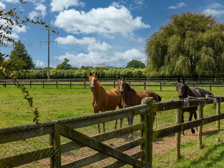 59 Fuchsia Lane Tamahere_18