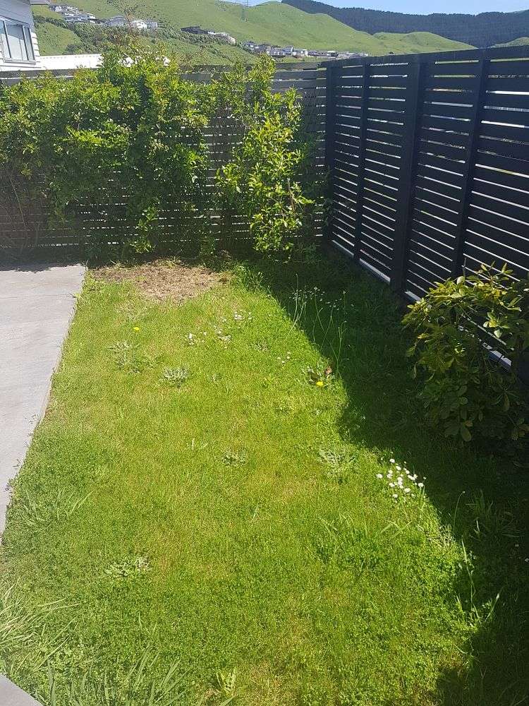 14 Crompton Avenue Churton Park_19