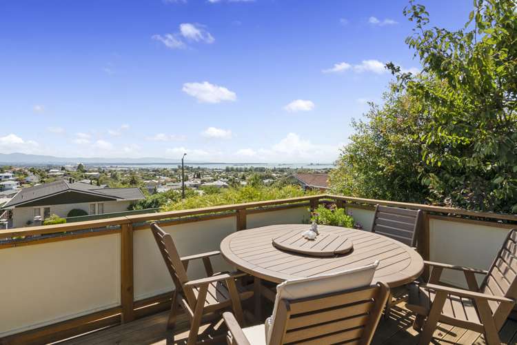 45 Marlborough Crescent Richmond_14