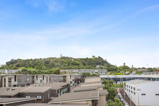 Apartment Living in Mt Eden
