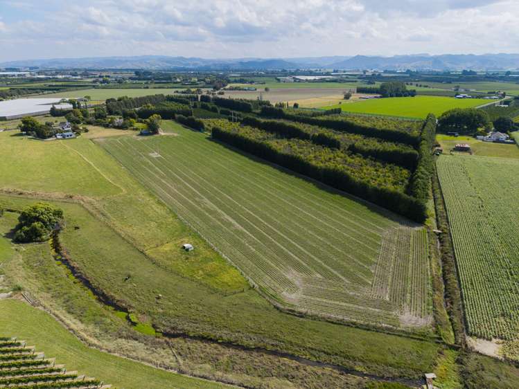 31 Pilmer Road Waerengaahika_34