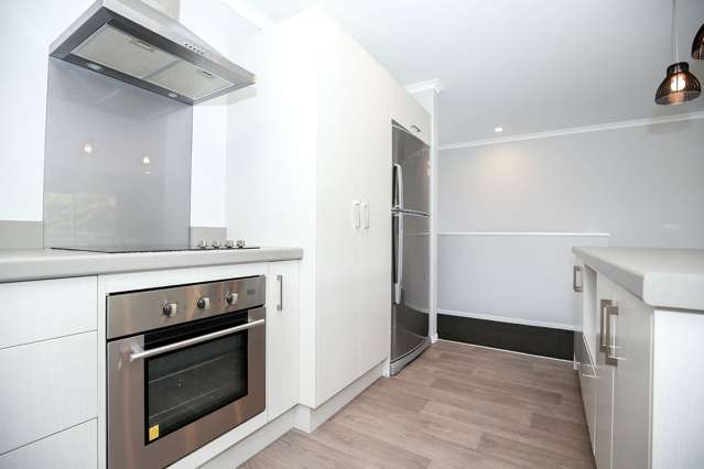 12B Greensboro Street Hamilton East_4